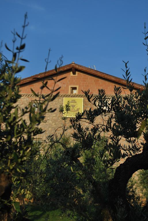Agriturismo Casale Re Sonnino Exteriér fotografie